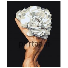 Maalaa numeroilla Z-AB248