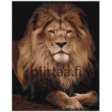 Maalaa numeroilla Z-AB24