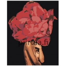 Maalaa numeroilla Z-AB251