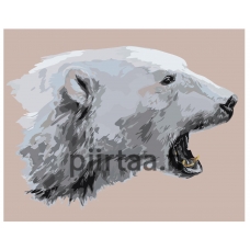 Maalaa numeroilla Z-AB252