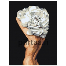 Maalaa numeroilla Z-AB254