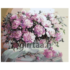 Maalaa numeroilla Z-AB25