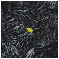 Maalaa numeroilla Z-AB278