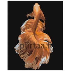 Maalaa numeroilla Z-AB282