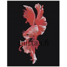 Maalaa numeroilla Z-AB283