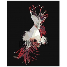 Maalaa numeroilla Z-AB284