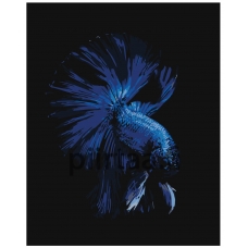 Maalaa numeroilla Z-AB285