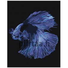 Maalaa numeroilla Z-AB286