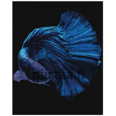 Maalaa numeroilla Z-AB287