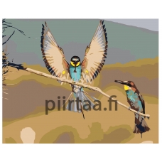 Maalaa numeroilla Z-AB288