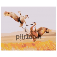 Maalaa numeroilla Z-AB289