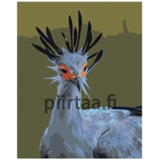 Maalaa numeroilla Z-AB290