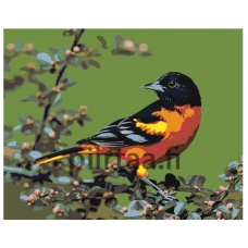 Maalaa numeroilla Z-AB293