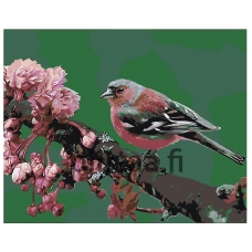 Maalaa numeroilla Z-AB294