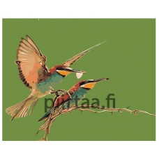 Maalaa numeroilla Z-AB295