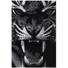 Maalaa numeroilla Z-AB296