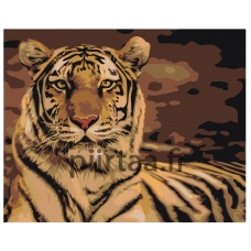 Maalaa numeroilla Z-AB302