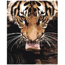 Maalaa numeroilla Z-AB303