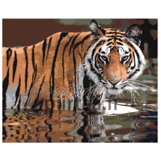 Maalaa numeroilla Z-AB307