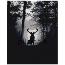 Maalaa numeroilla Z-AB309