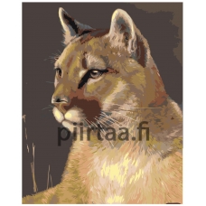 Maalaa numeroilla Z-AB30