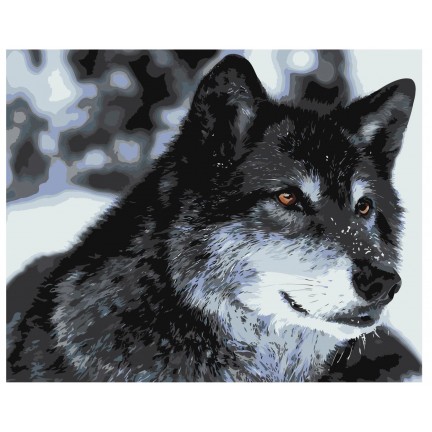 Maalaa numeroilla Z-AB310