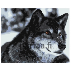 Maalaa numeroilla Z-AB310