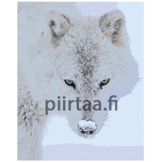 Maalaa numeroilla Z-AB311