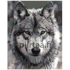 Maalaa numeroilla Z-AB312