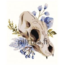 Maalaa numeroilla Z-AB327