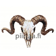 Maalaa numeroilla Z-AB330