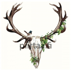 Maalaa numeroilla Z-AB331