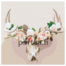 Maalaa numeroilla Z-AB335