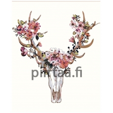 Maalaa numeroilla Z-AB336