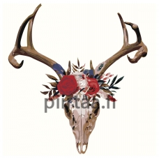 Maalaa numeroilla Z-AB337