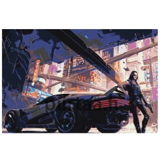 Maalaa numeroilla Z-AB343