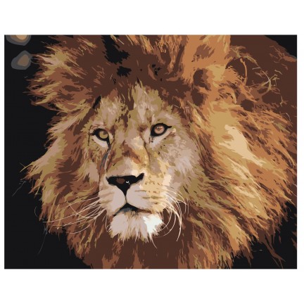 Maalaa numeroilla Z-AB368 Maalaa numeroilla Z-AB368