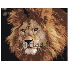 Maalaa numeroilla Z-AB368