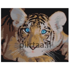 Maalaa numeroilla Z-AB369