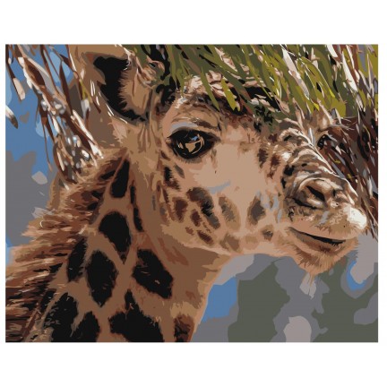 Maalaa numeroilla Z-AB370