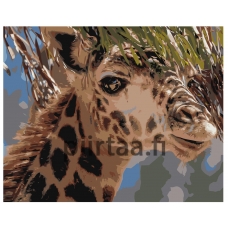 Maalaa numeroilla Z-AB370