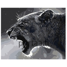 Maalaa numeroilla Z-AB371