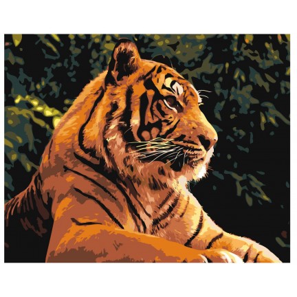 Maalaa numeroilla Z-AB372