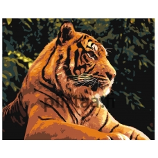 Maalaa numeroilla Z-AB372