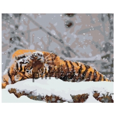 Maalaa numeroilla Z-AB375