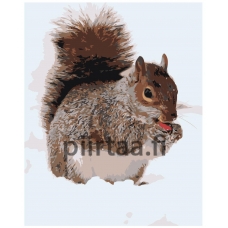 Maalaa numeroilla Z-AB377