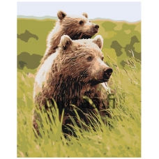 Maalaa numeroilla Z-AB378