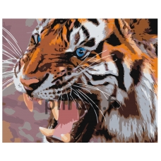 Maalaa numeroilla Z-AB380