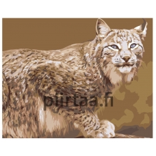 Maalaa numeroilla Z-AB382