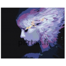 Maalaa numeroilla Z-AB388